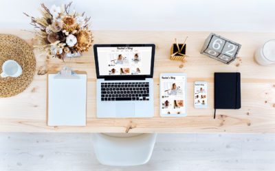 Online Reputation