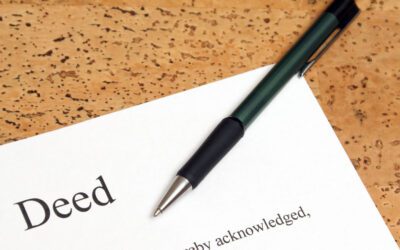 Myths and Frequently Asked Questions About Estate Planning for Unmarried Partners