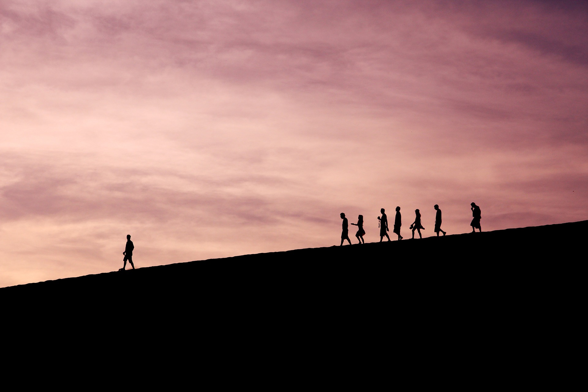 Never Stop Trying | Wealth Counsel Trailblazer Award